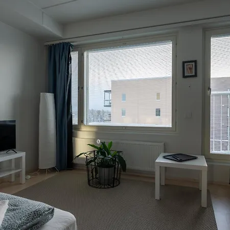 Easy & Near Airport Pansiyon Vantaa